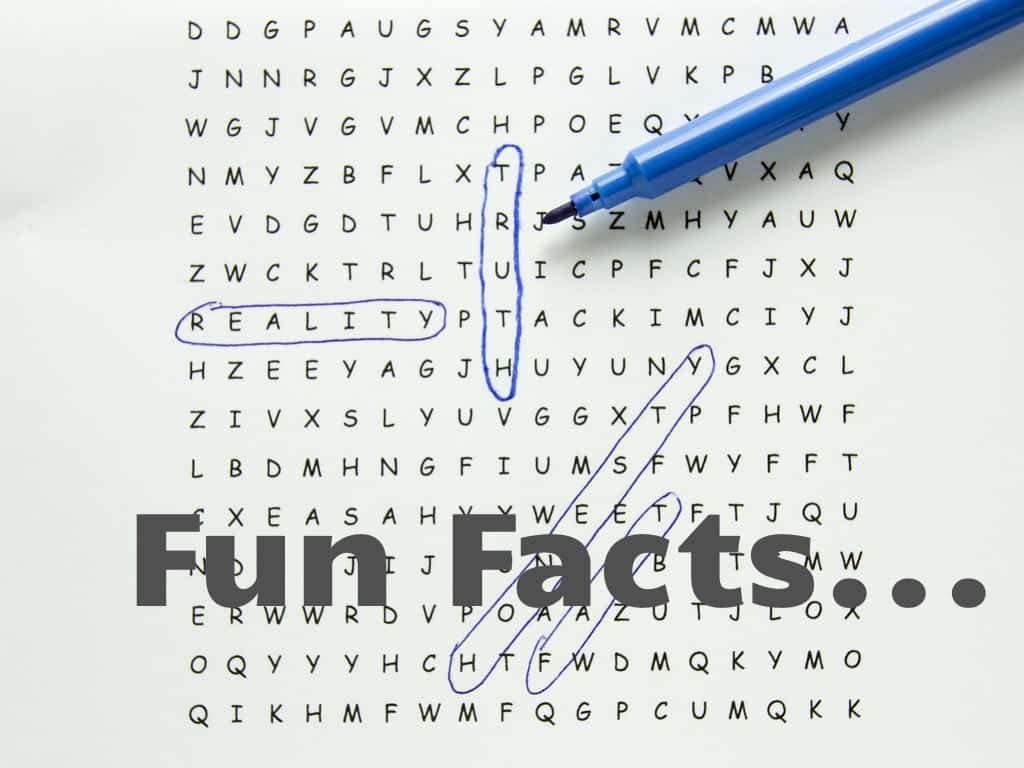 Word search puzzle with text circled, fact word